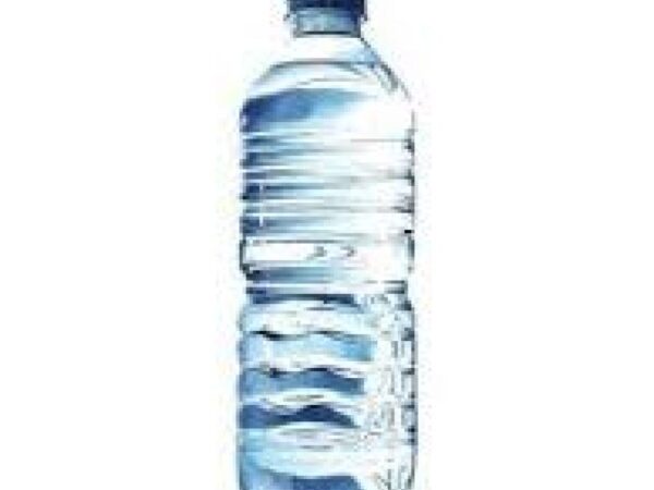 AGUA 0,50ml
